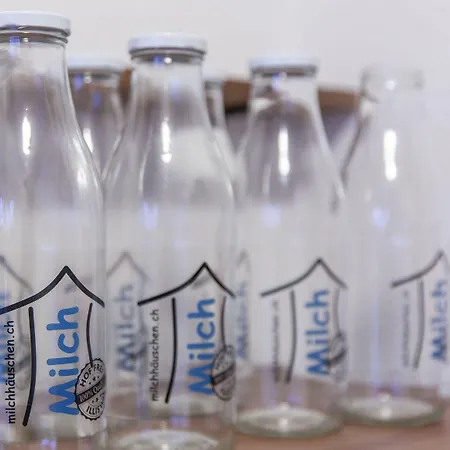 Hotell Alpenblick - Kind Of A Bern